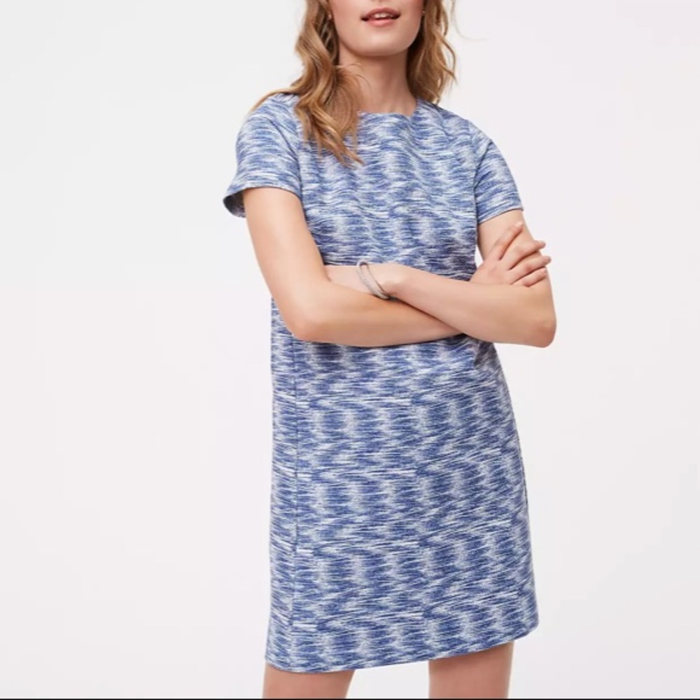 LOFT Spacedye Shift Dress (Size S)